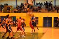 sapela_morieres (7)